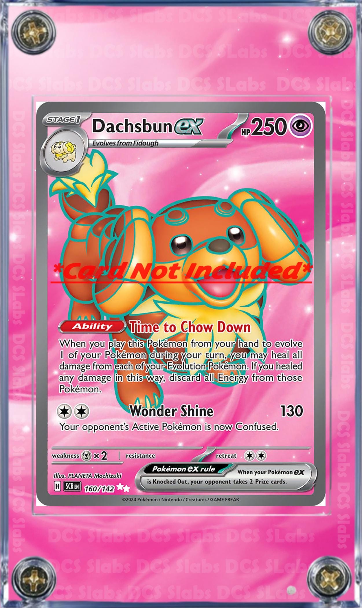 Pokemon Dachsbun EX SIR Stellar Crown Stellar Miracle SIR 169/142 Card Custom Display Case