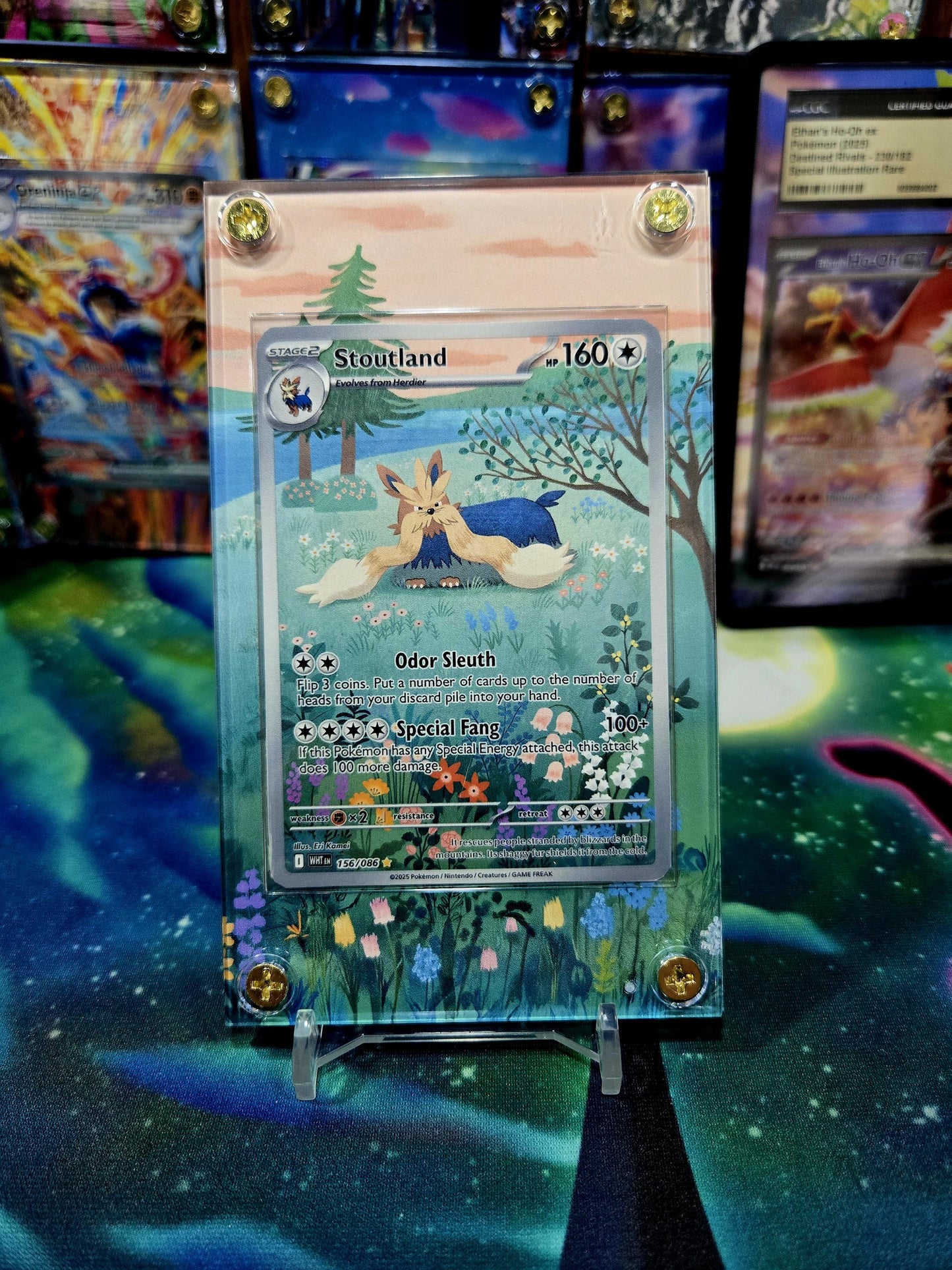 Pokemon Stoutland IR 156/086 White Flare Extended Art Case