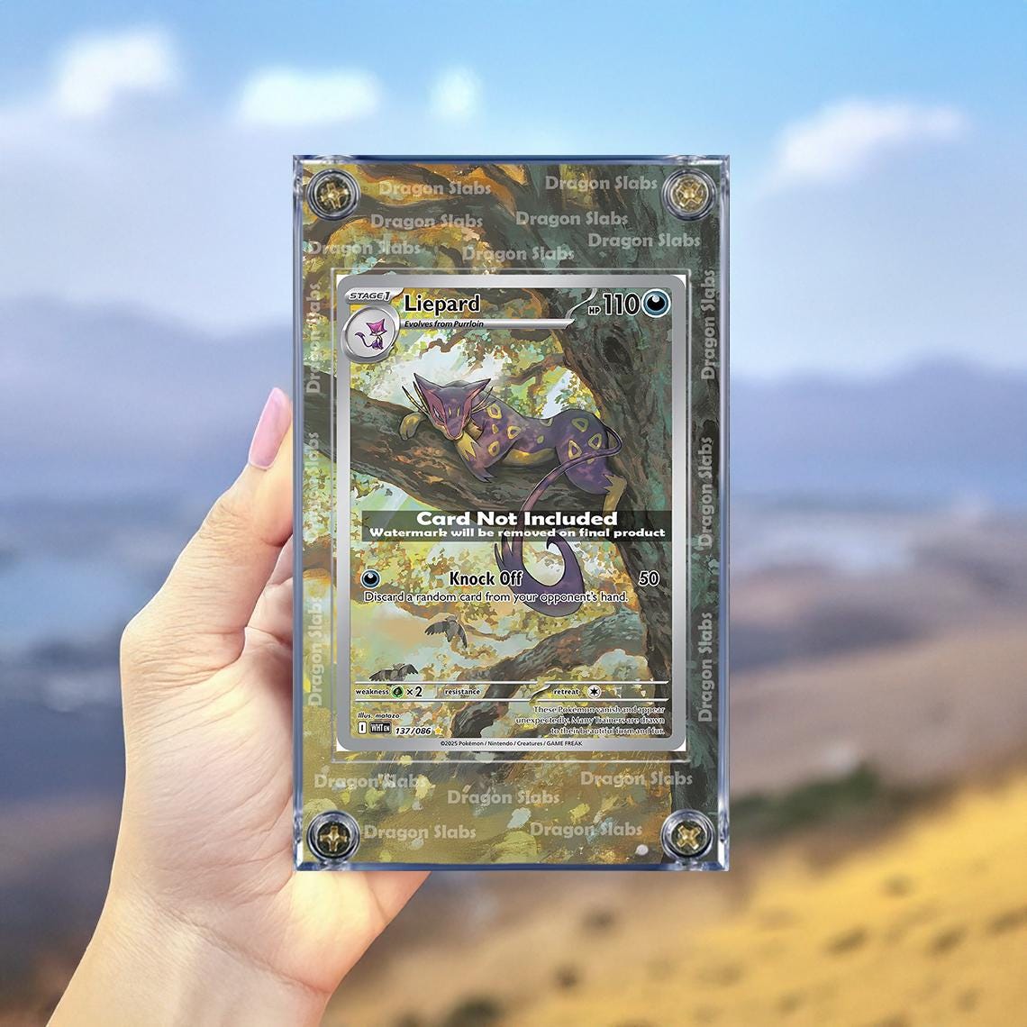 x2 Pokemon Purrloin & Lipard IR 136 137/086 White Flare Extended Artwork Cases