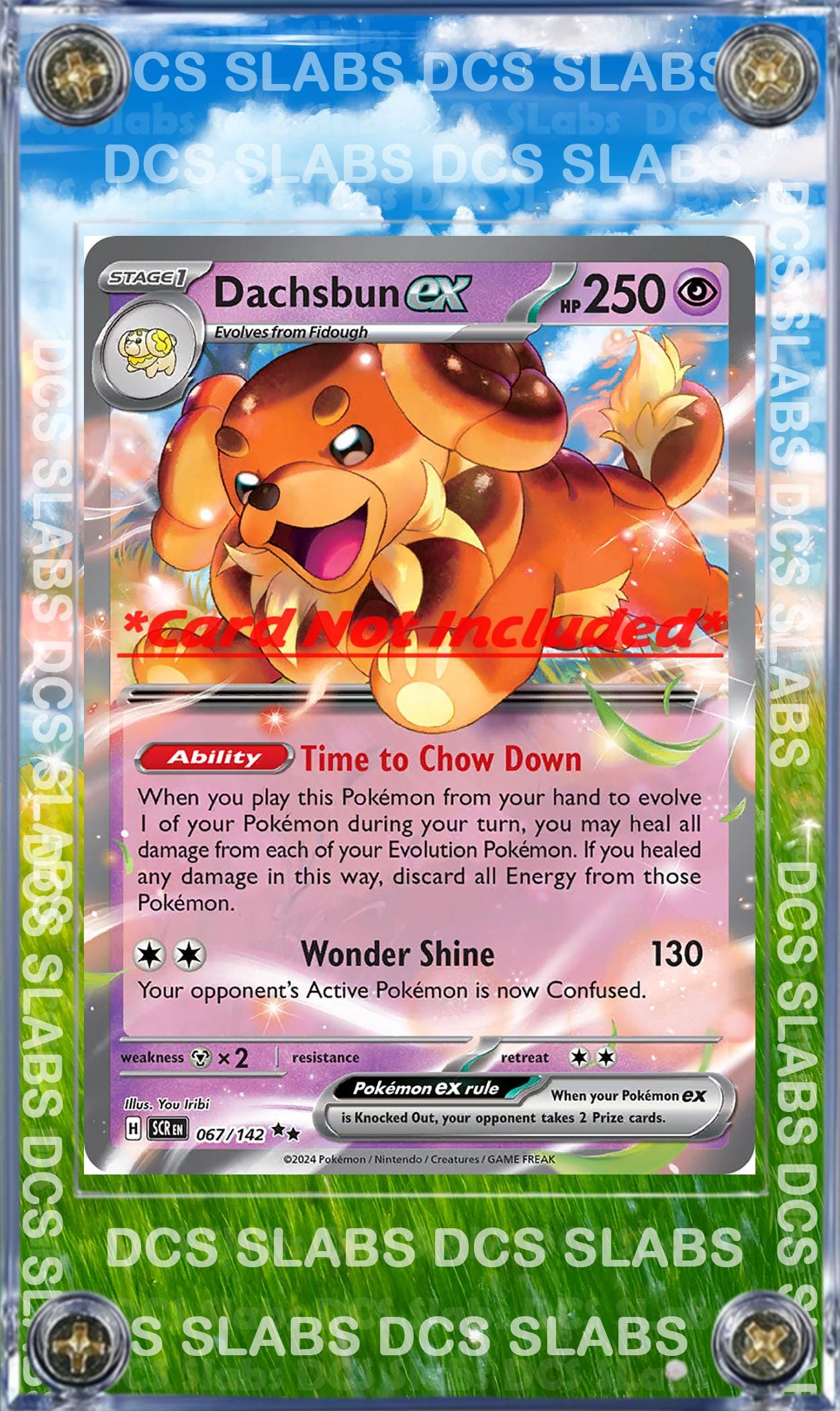 Pokemon Dachsbun EX Stellar Crown Stellar Miracle 067/142 Card Custom Display Case