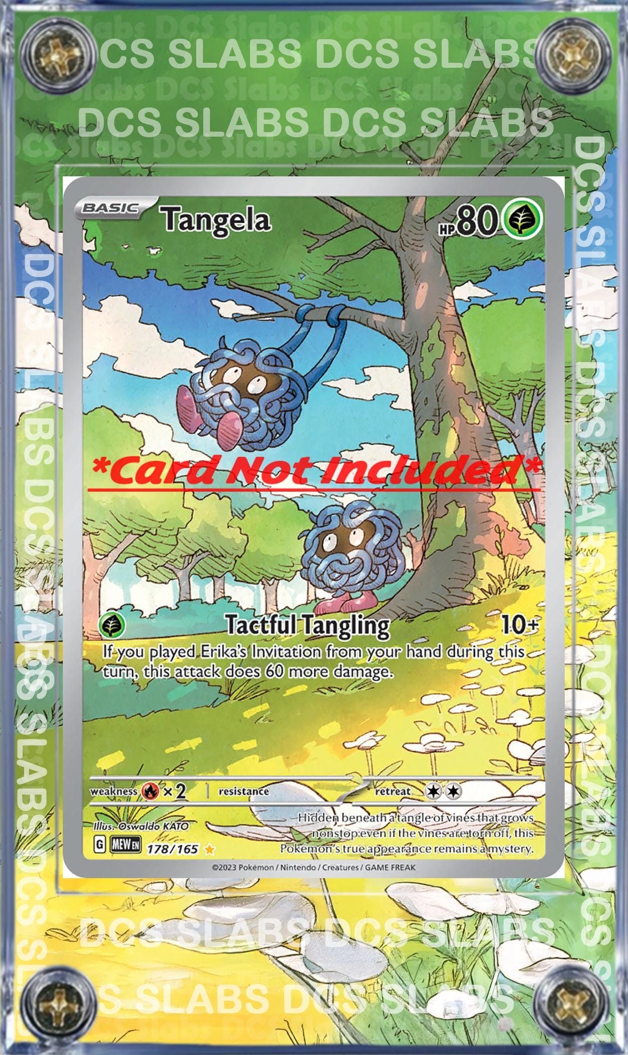 x5 Pokemon 151 IR Custom Display Cases - Pikachu Machoke Mr Mime Omanyte Tangela