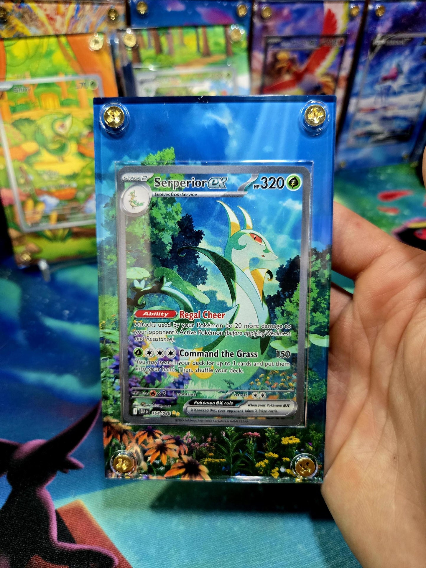 Pokemon Serperior EX SIR 164/086 Black Bolt Extended Art Case