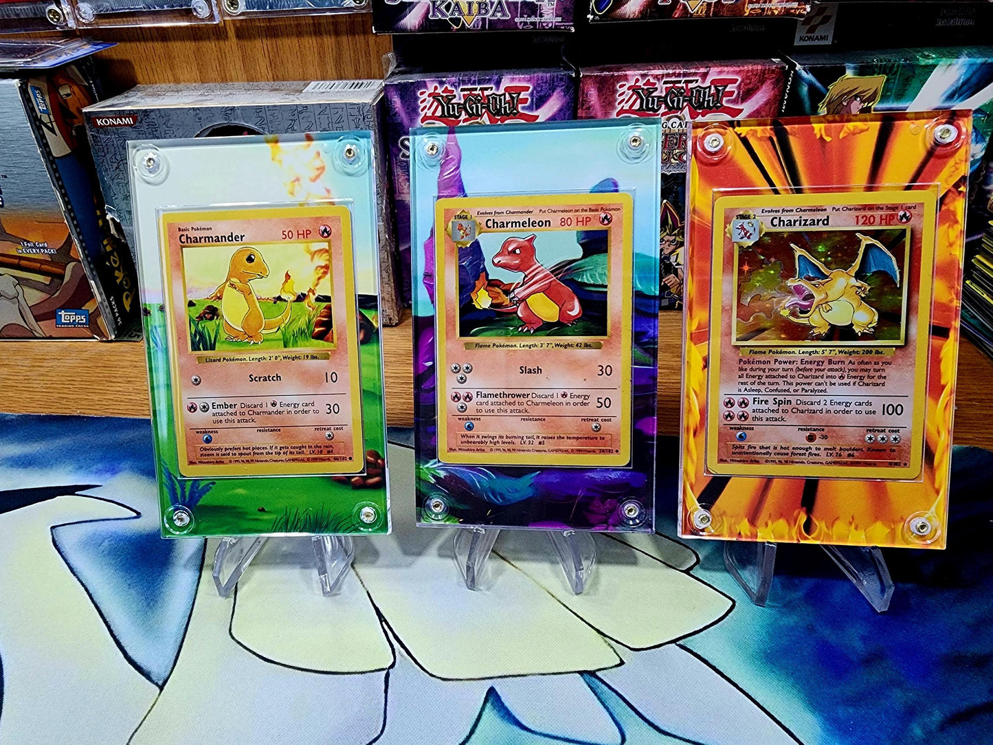 Pokemon Charmander, Charmeon, Charizard Base Set 2 Custom Display Cases Extended Artwork