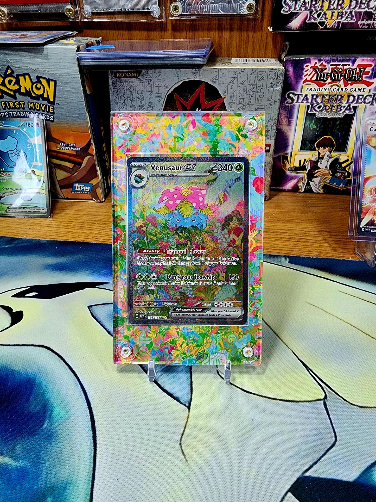 X9 Pokemon 151 Starters Display Extended Art Cases - Charmander, Charmeleon, Charizard, Squirtle, Wartortle, Blastoise, Bulbasaur, Venusaur