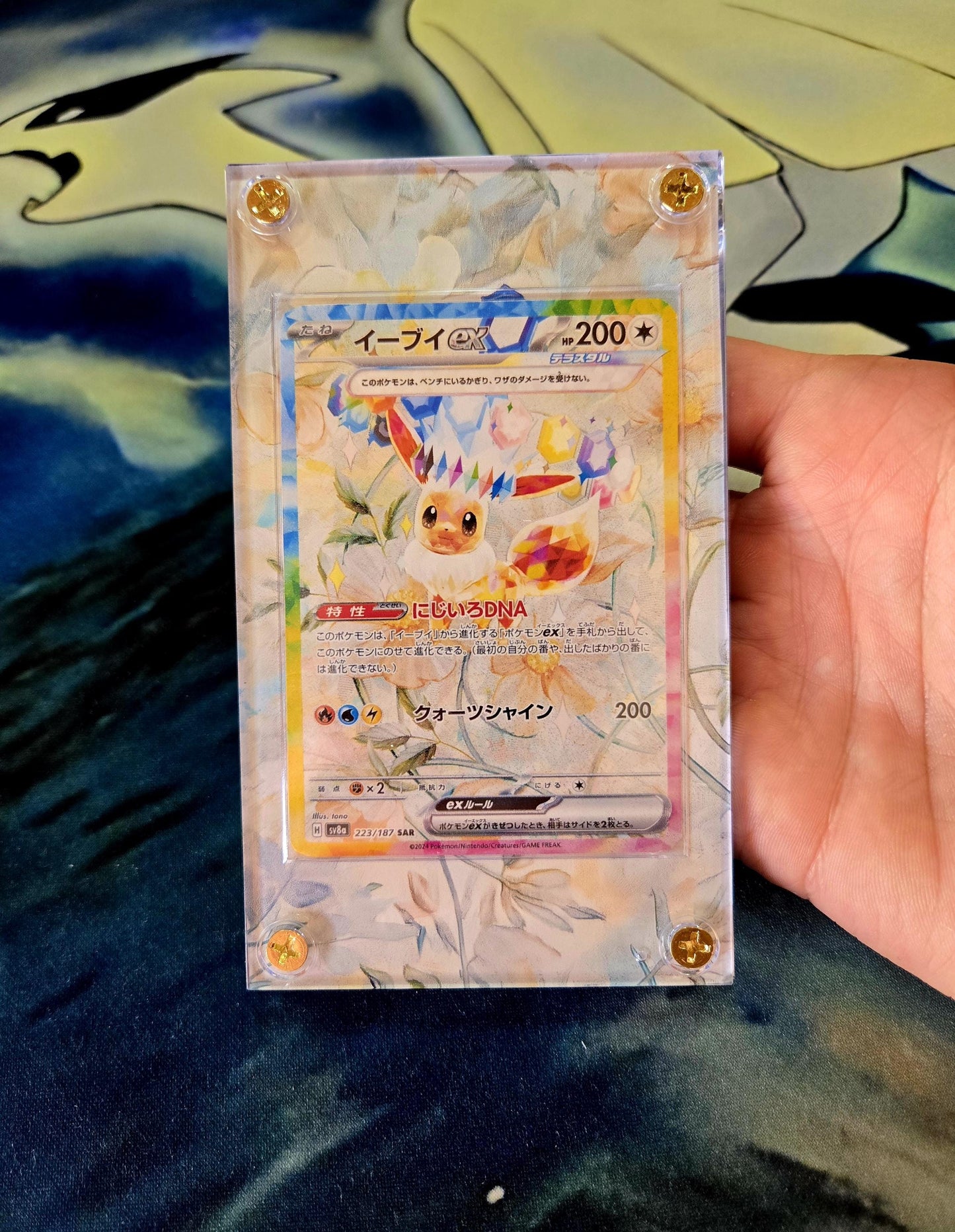 x2 Pokemon Card Eevee ex SAR 223/187 & 224/187 sv8a Terastal Festival Pristmatic Evolutions Custom Case