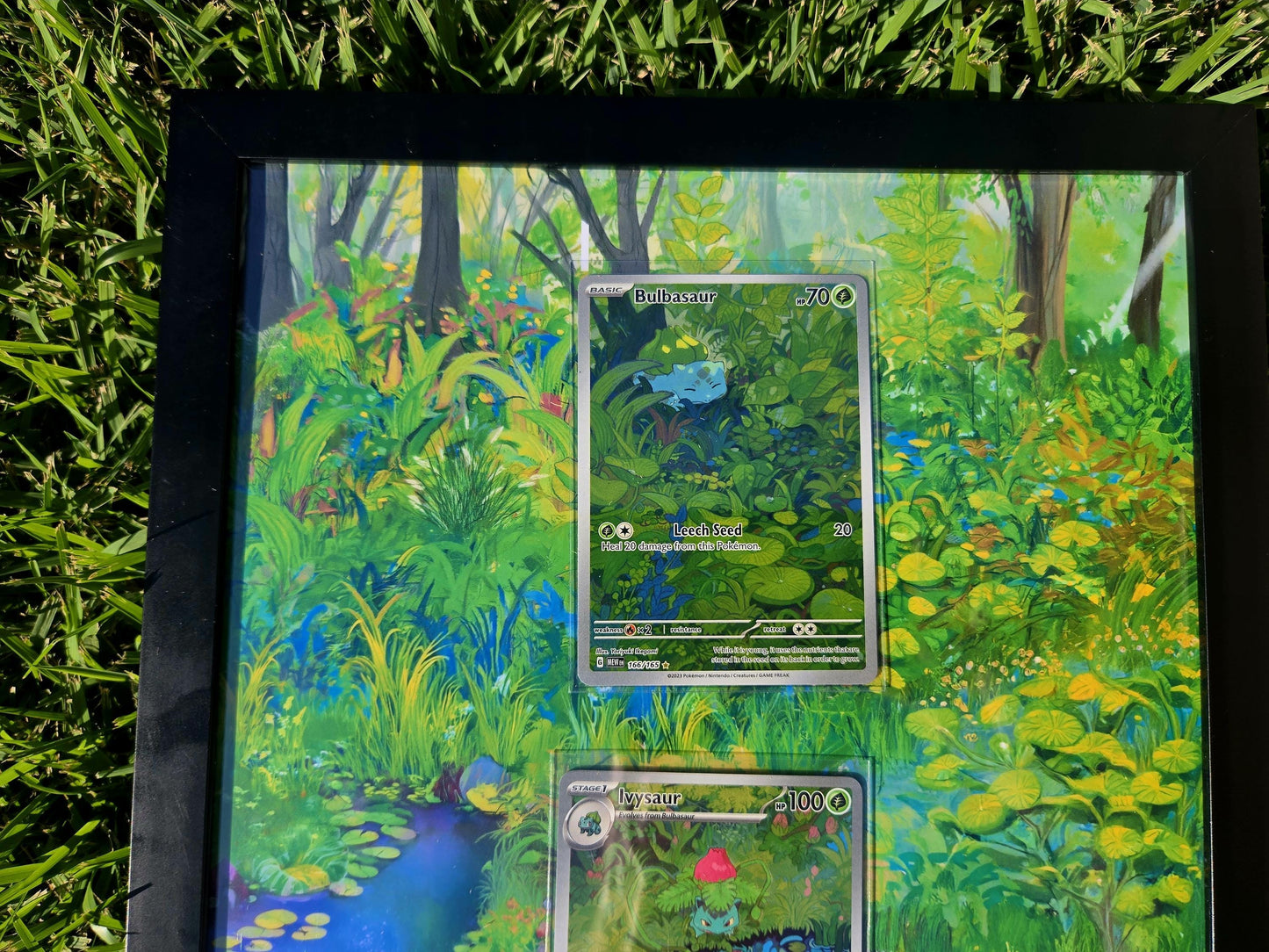 Pokemon 151 Bulbasaur, Ivysaur, Venusaur EX 8.5 x 14" Display Frame Extended Artwork Frame