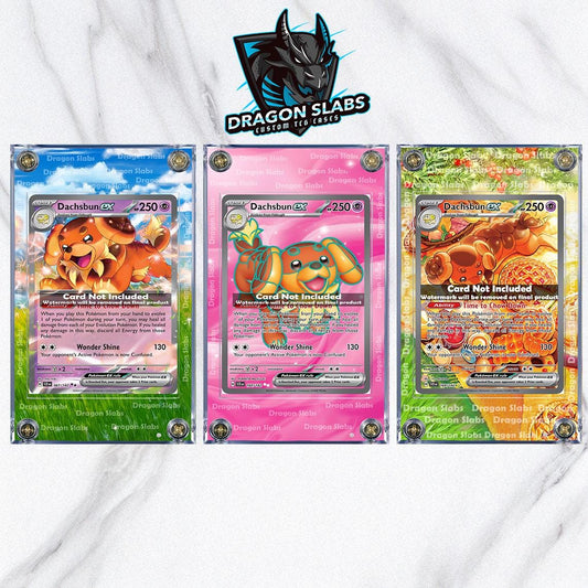 Pokemon Dachsbun EX SIR Stellar Crown Stellar Miracle SIR 169/142  Card Custom Display Case