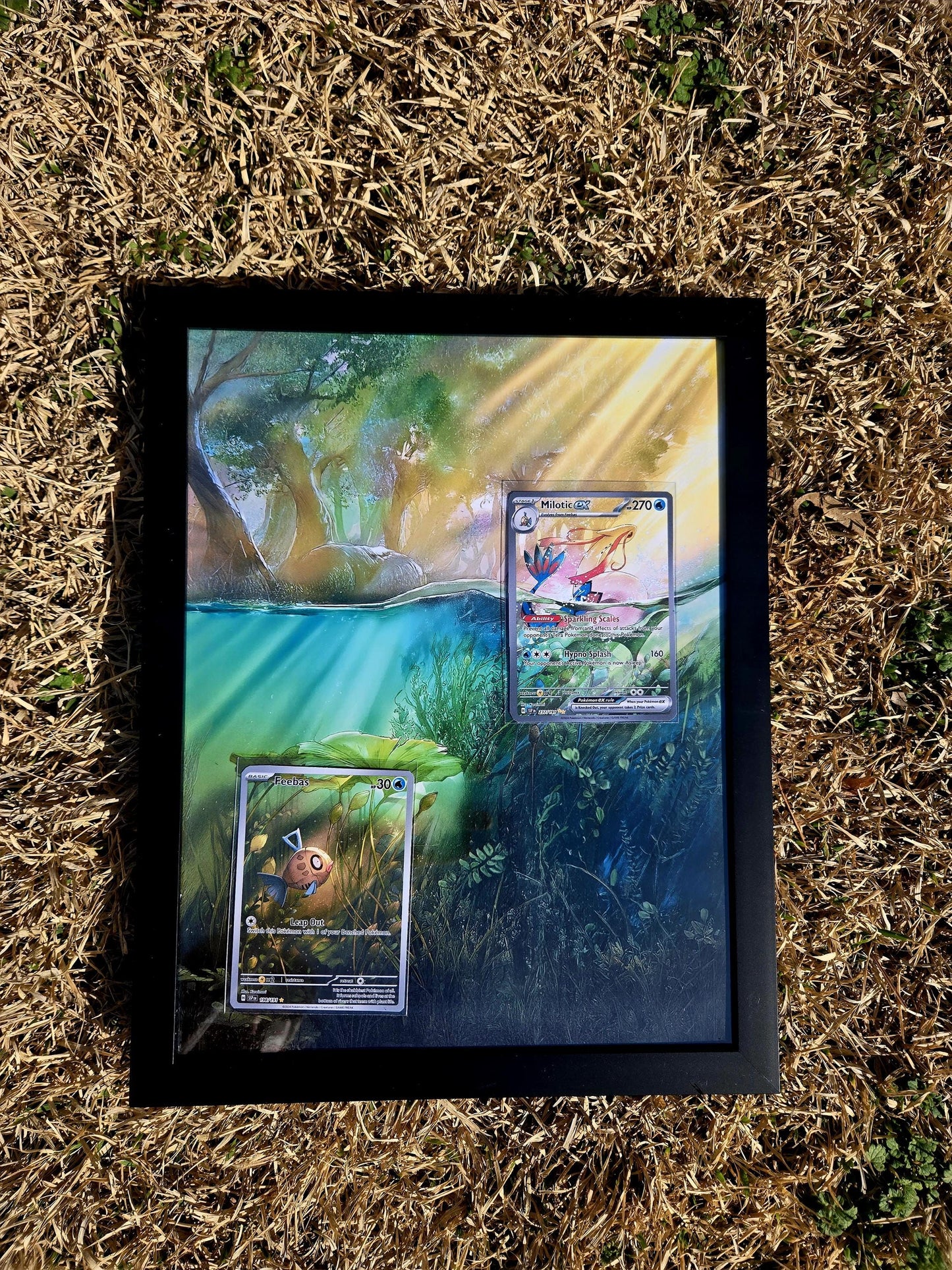 Feebas & Milotic EX Surging Sparks Pokemon Extended Art Frame 8.5 x 11 Frame
