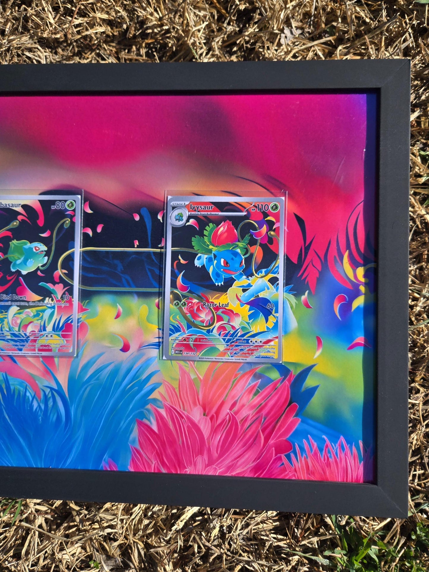 Pokemon Bulbasaur & Ivysaur Mega Evolutions Extended Art Frame 8.5 x 11 Frame