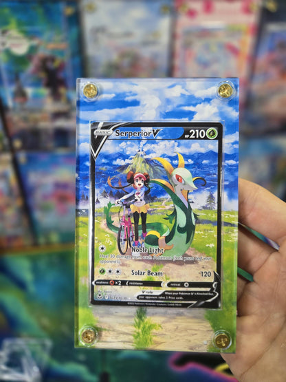 Pokemon Serperior V TG13/TG30  Silver Tempest Extended Art Case