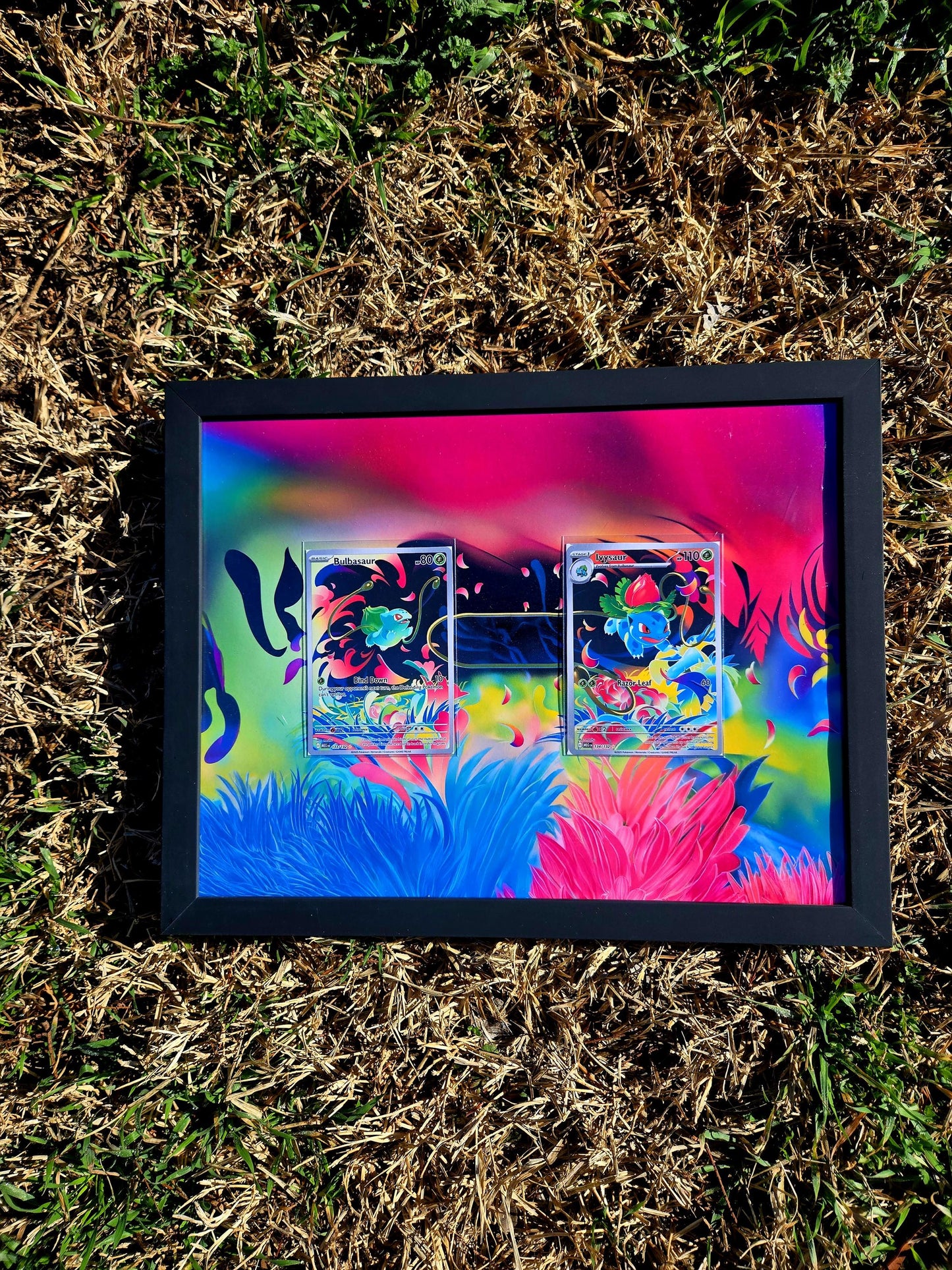 Pokemon Bulbasaur & Ivysaur Mega Evolutions Extended Art Frame 8.5 x 11 Frame