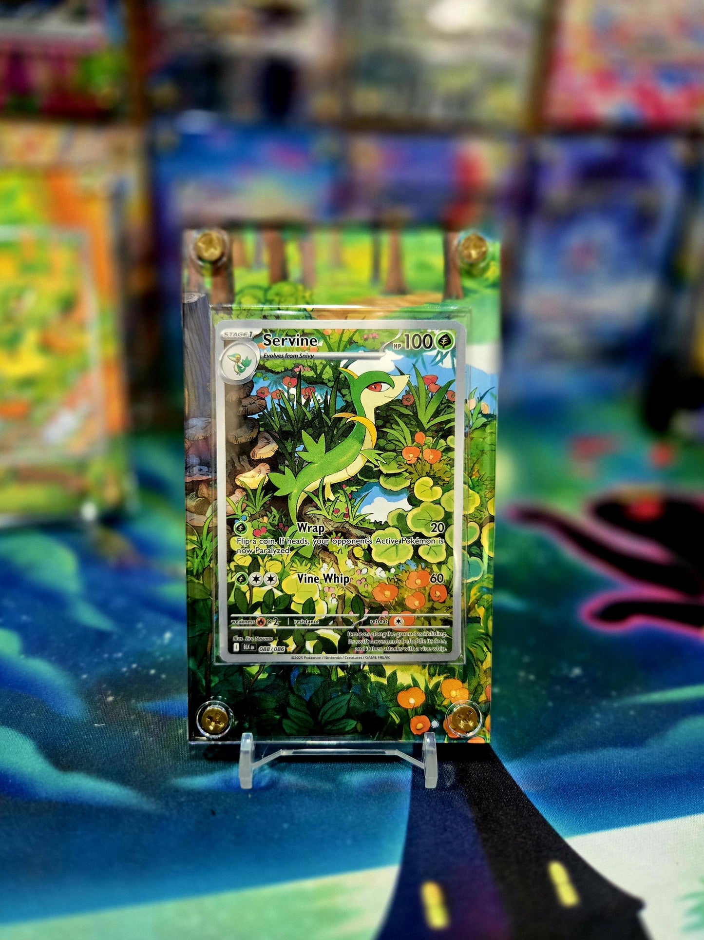 x3 Pokemon Snivy, Servine, Serperior EX SIR 167,087, 088 Black Bolt Extended Art Cases