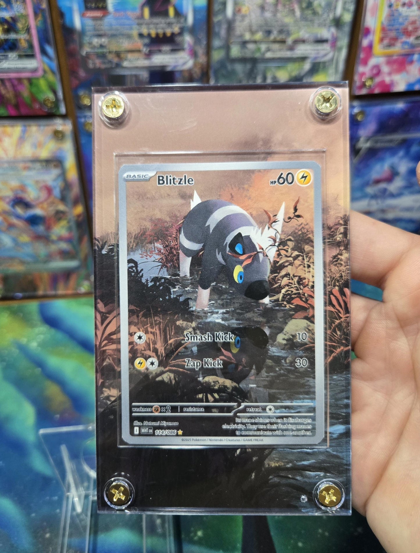 Pokemon Blitzle 114/086 IR White Flare Extended Art Case