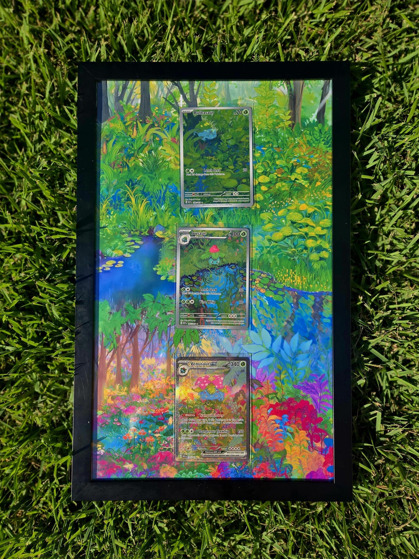 Pokemon 151 Bulbasaur, Ivysaur, Venusaur EX 8.5 x 14" Display Frame Extended Artwork Frame