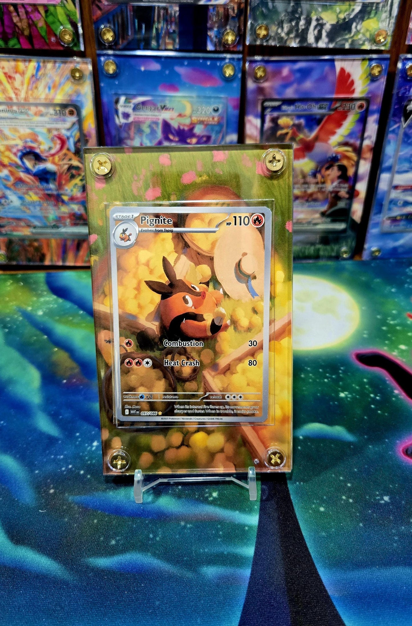 x3 Pokemon Tepig, Pignite, Emboar EX IR 096, 097, 098 Black Bolt Extended Art Cases