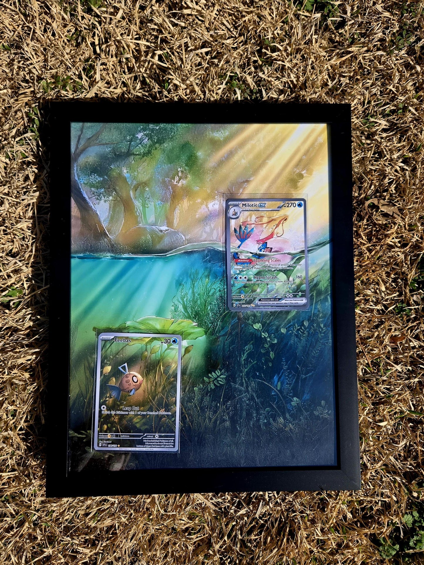 Feebas & Milotic EX Surging Sparks Pokemon Extended Art Frame 8.5 x 11 Frame