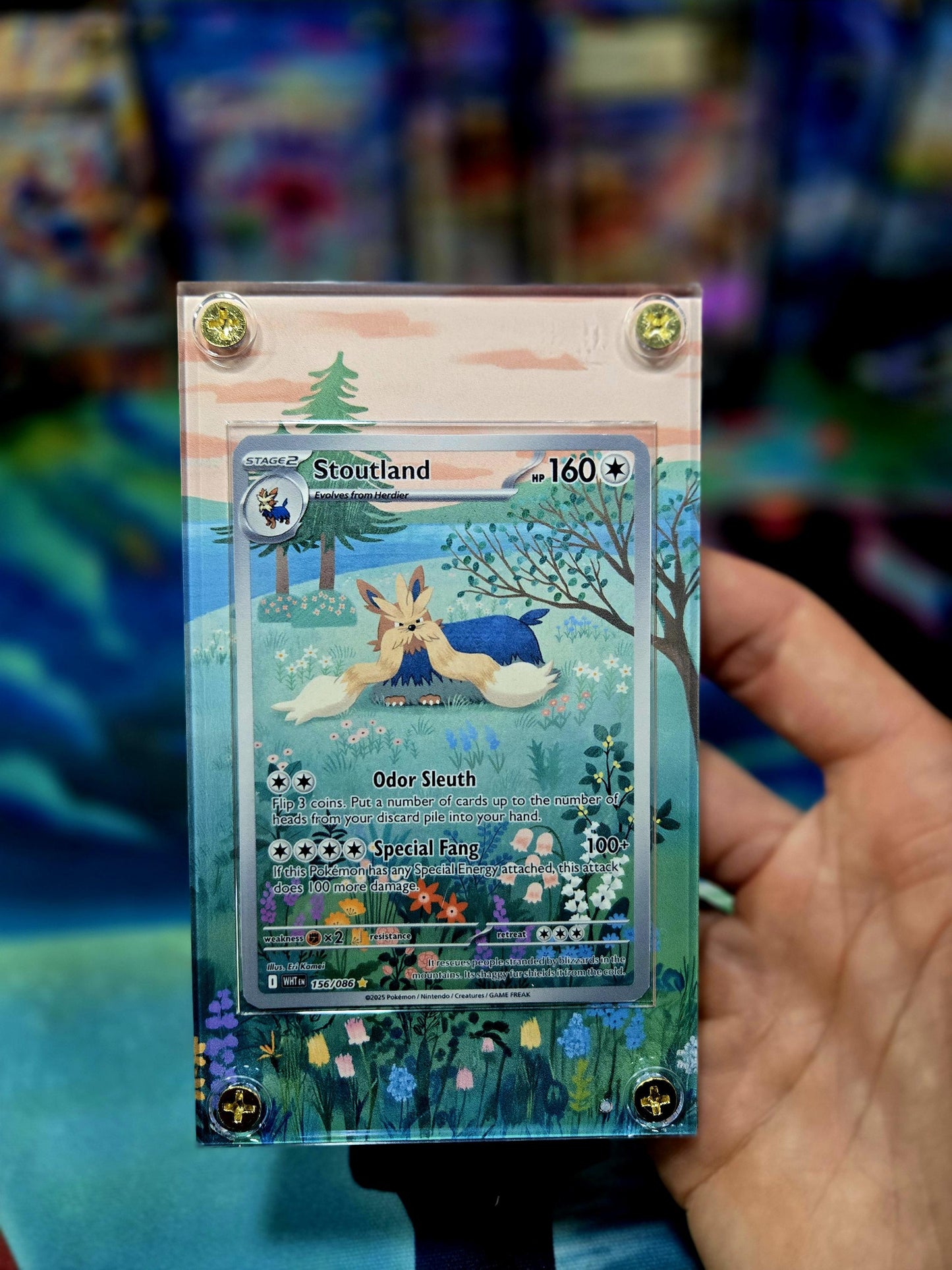 Pokemon Stoutland IR 156/086 White Flare Extended Art Case