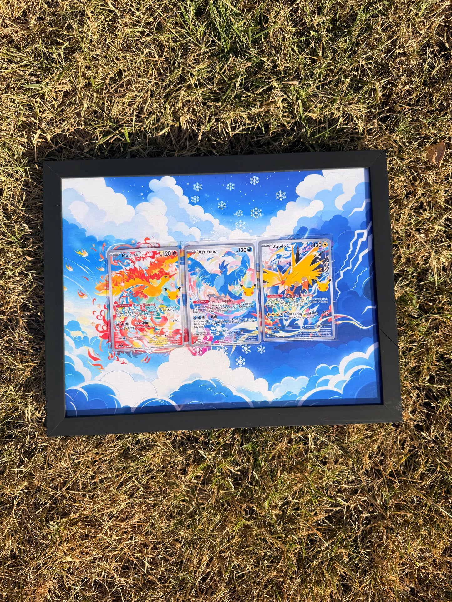 Moltres Articuno Zapdos 30th Anniversary Celebrations 8.5 x 11" Display Frame Extended Art