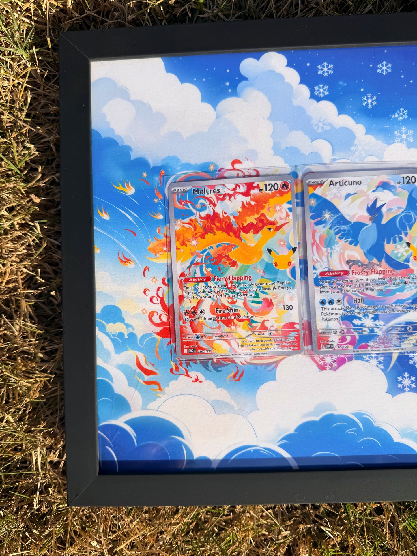 Moltres Articuno Zapdos 30th Anniversary Celebrations 8.5 x 11" Display Frame Extended Art