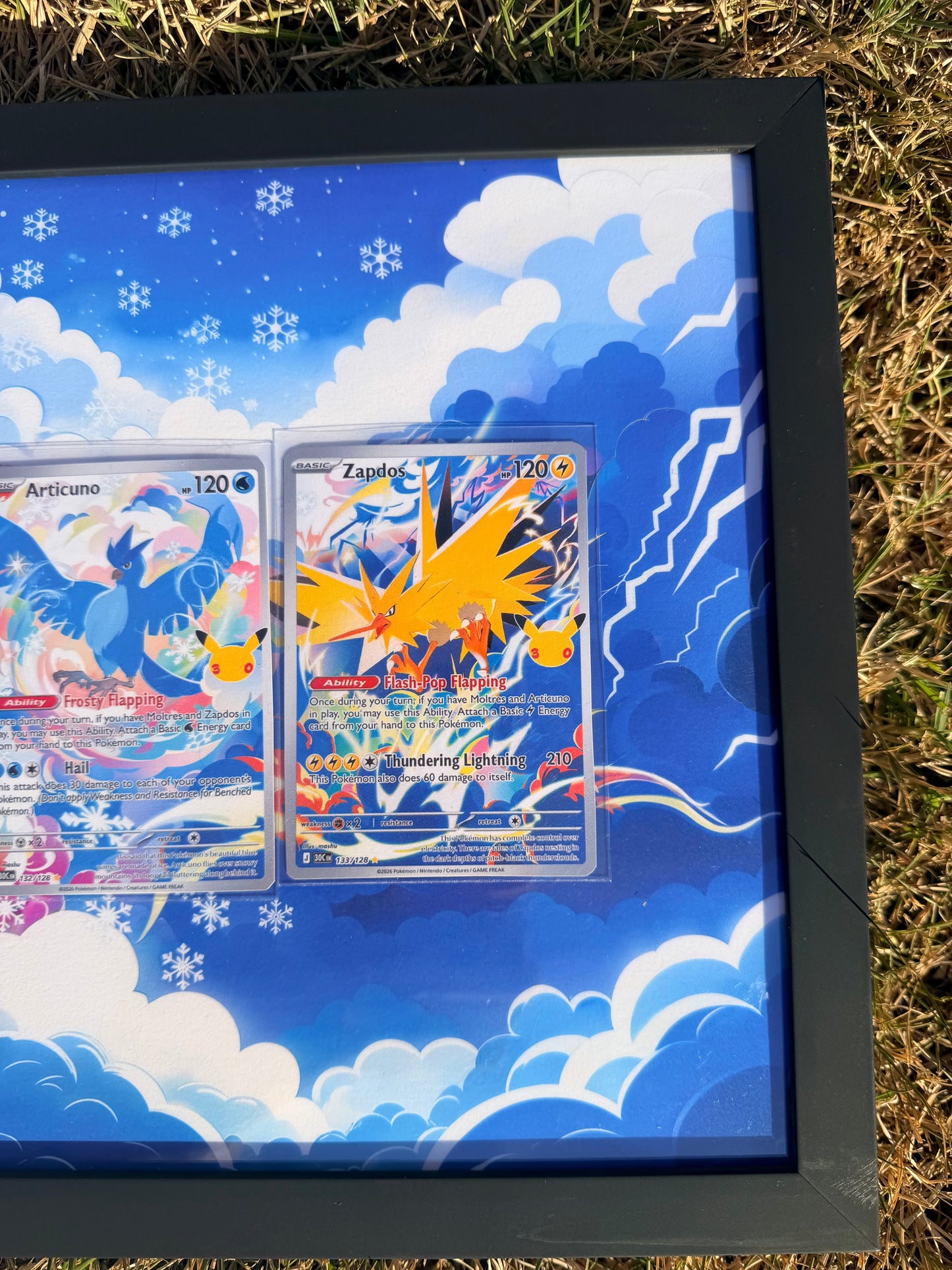 Moltres Articuno Zapdos 30th Anniversary Celebrations 8.5 x 11" Display Frame Extended Art