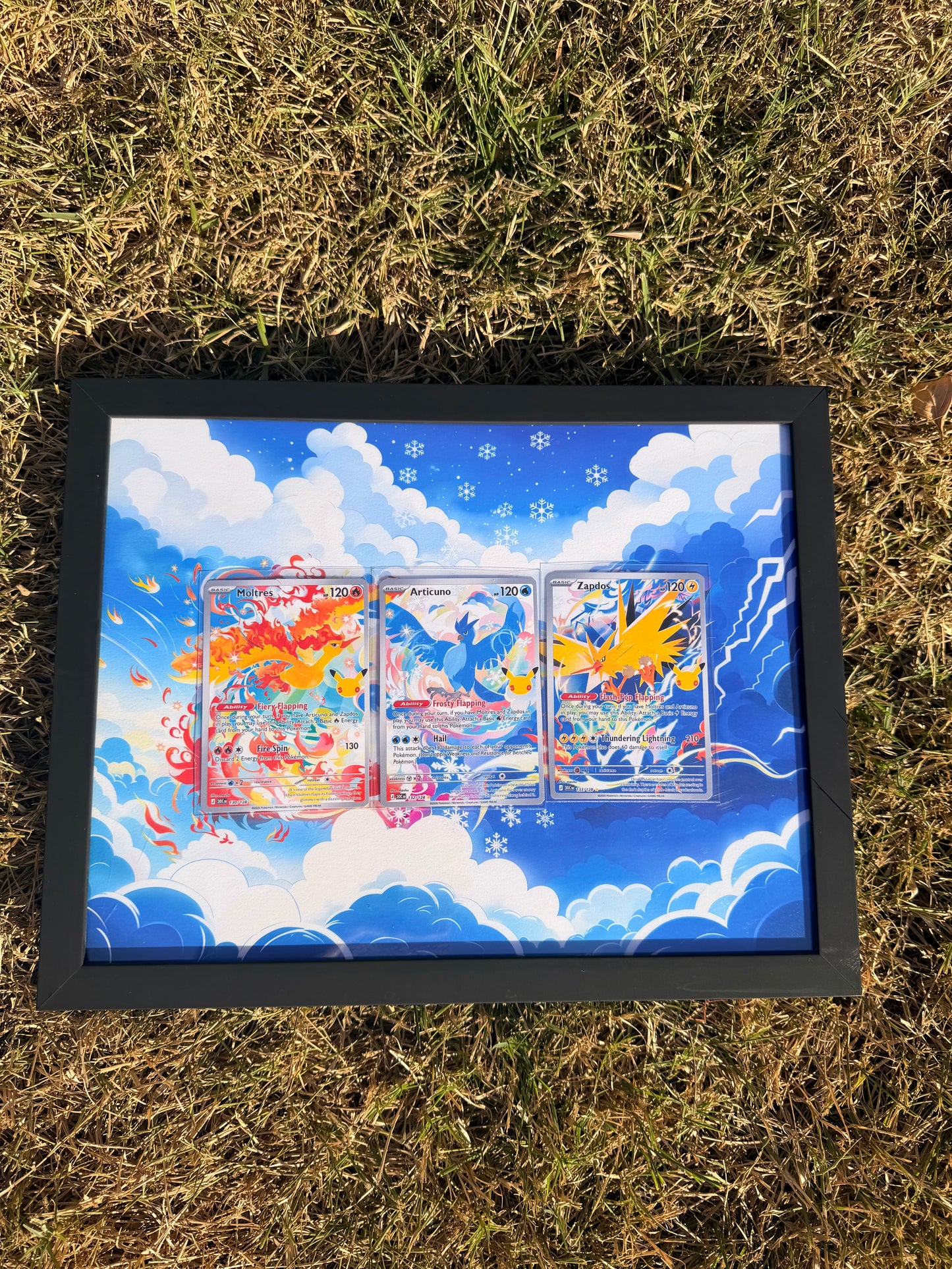 Moltres Articuno Zapdos 30th Anniversary Celebrations 8.5 x 11" Display Frame Extended Art