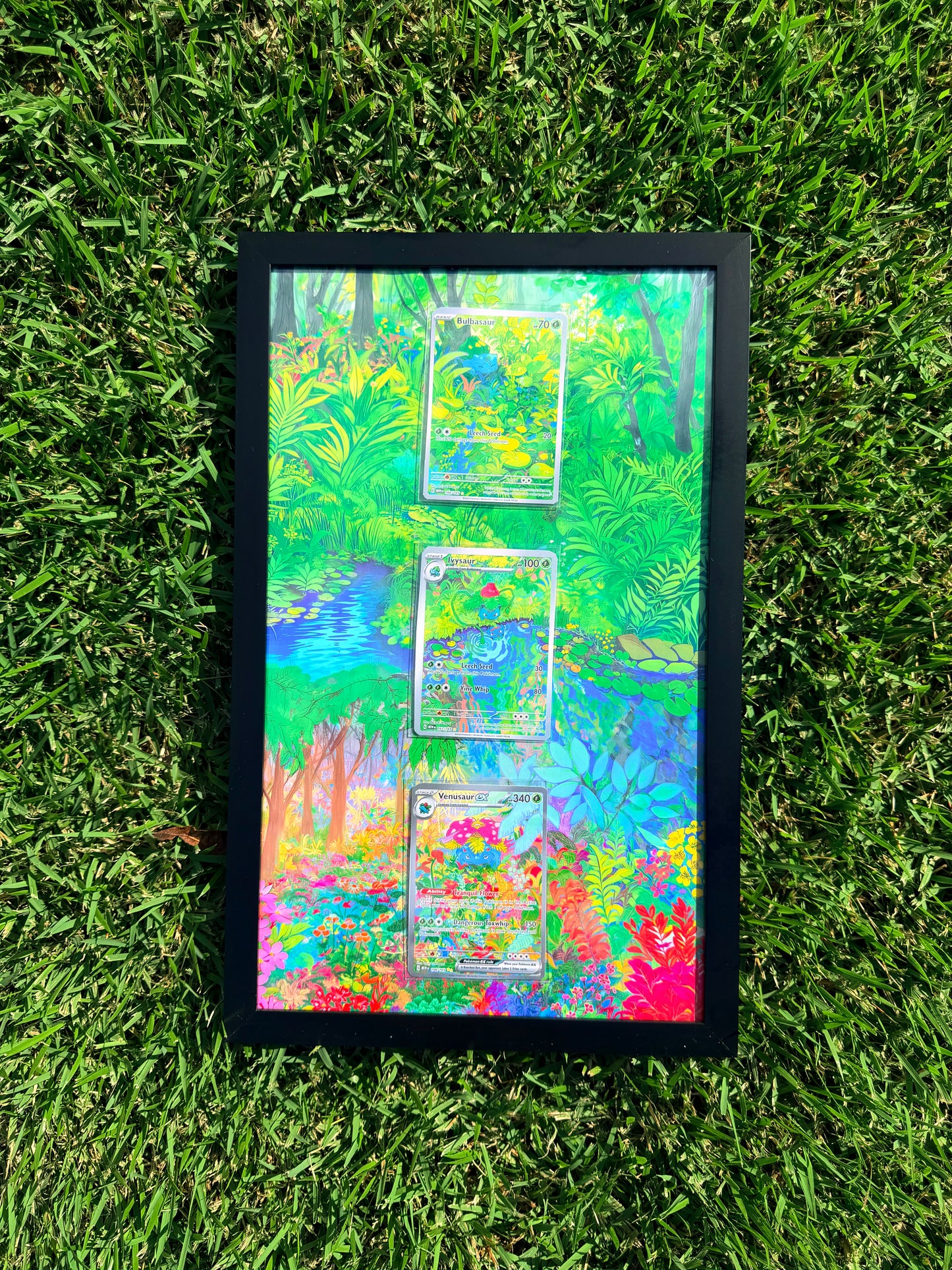 Pokemon 151 Bulbasaur, Ivysaur, Venusaur EX 8.5 x 14" Display Frame Extended Artwork Frame