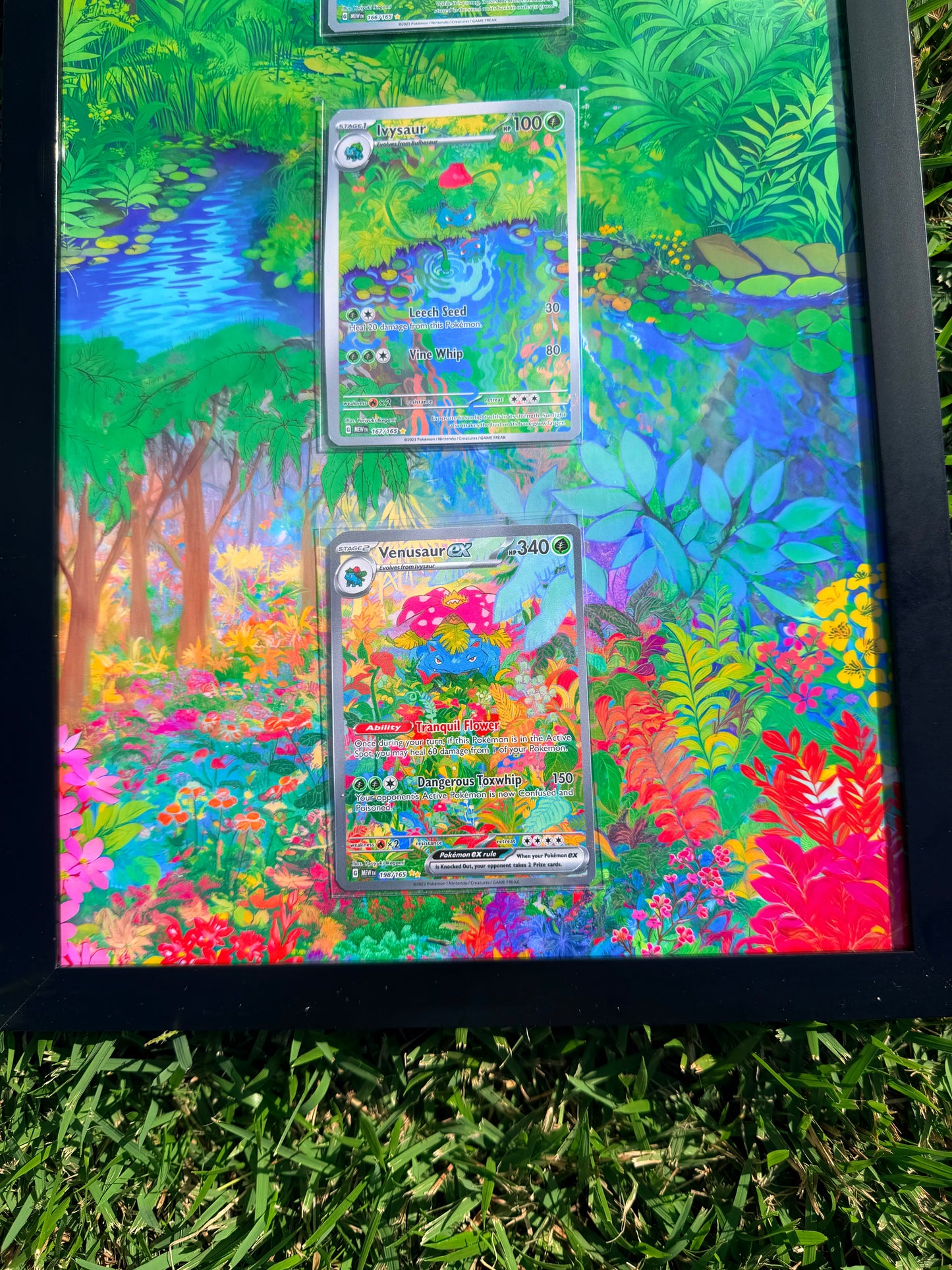 Pokemon 151 Bulbasaur, Ivysaur, Venusaur EX 8.5 x 14" Display Frame Extended Artwork Frame