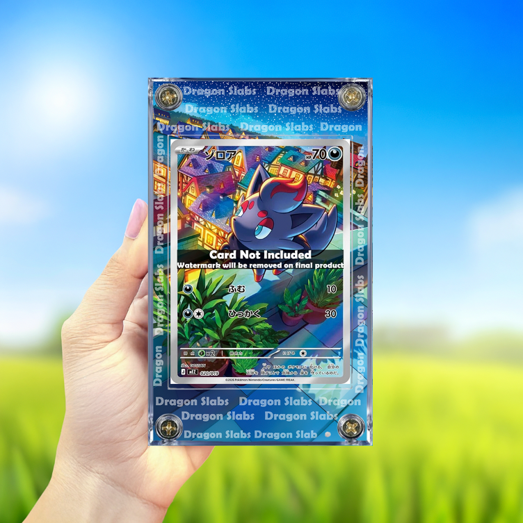 Pokemon Zorua 020/019 AR MEZ: Starter Set Extended Artwork Case