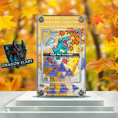 x3 Pokemon Totodile Cyndaquil Totodile Promo First Partner Series 2 Extended Artwork Cases