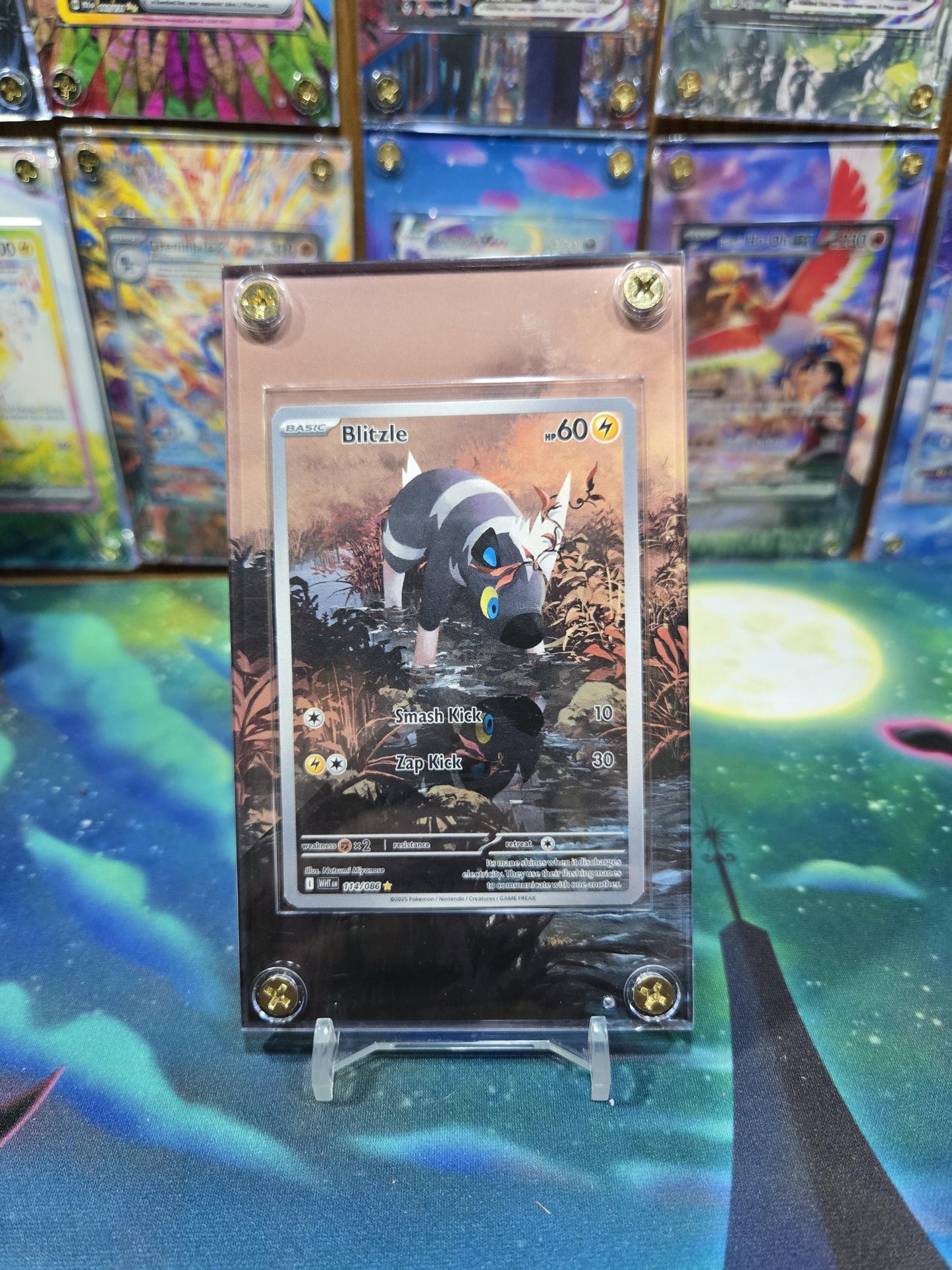 Pokemon Blitzle 114/086 IR White Flare Extended Art Case