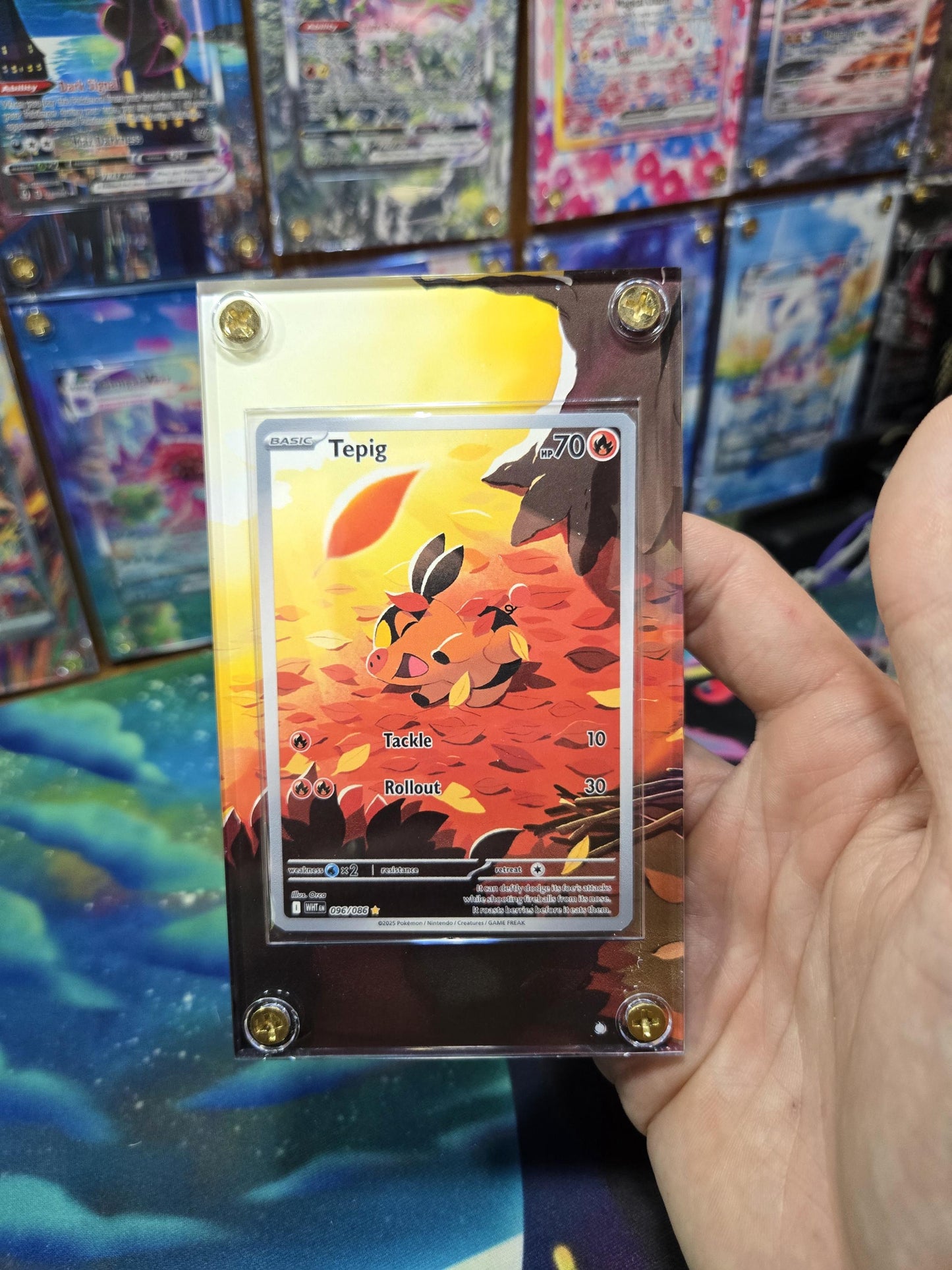 Pokemon Tepig IR 096/086 White Flare Extended Art Case