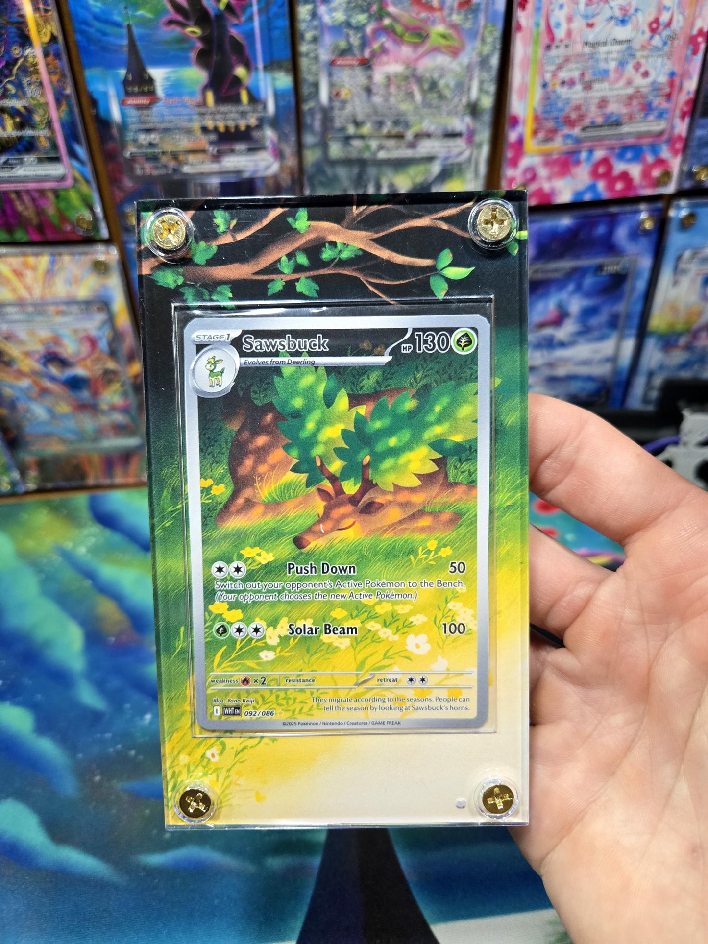 Pokemon Sawsbuck 092/086 IR White Flare Extended Art Case