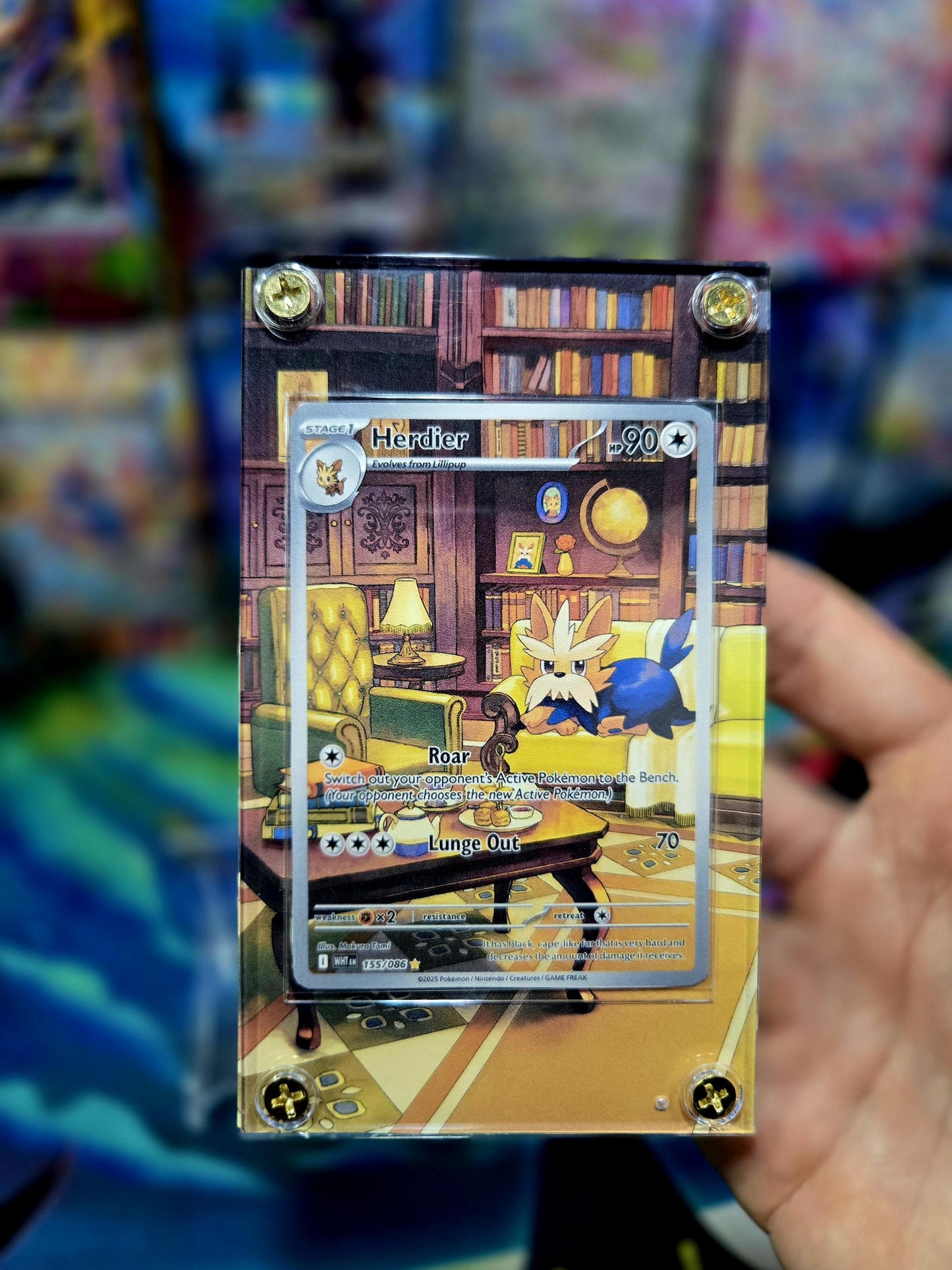 x3 Pokemon Lillipup Herdier Stoutland IR 154 155 156 White Flare Extended Art Cases
