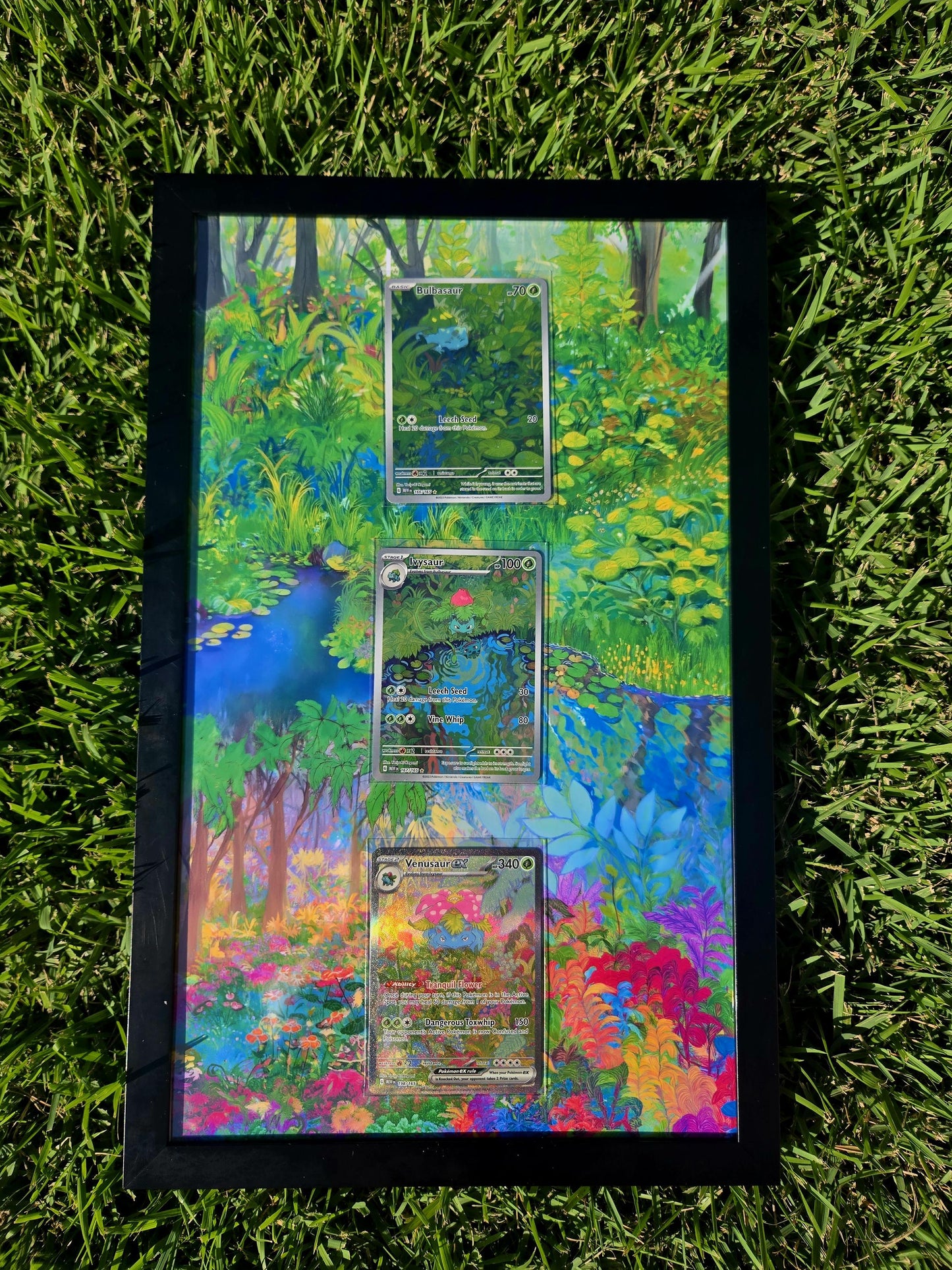 Pokemon 151 Bulbasaur, Ivysaur, Venusaur EX 8.5 x 14" Display Frame Extended Artwork Frame
