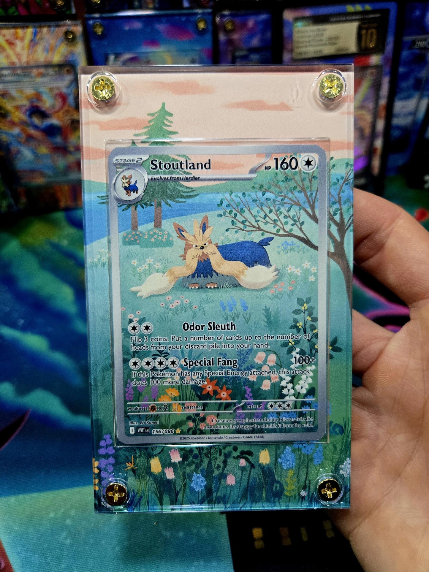 Pokemon Stoutland IR 156/086 White Flare Extended Art Case