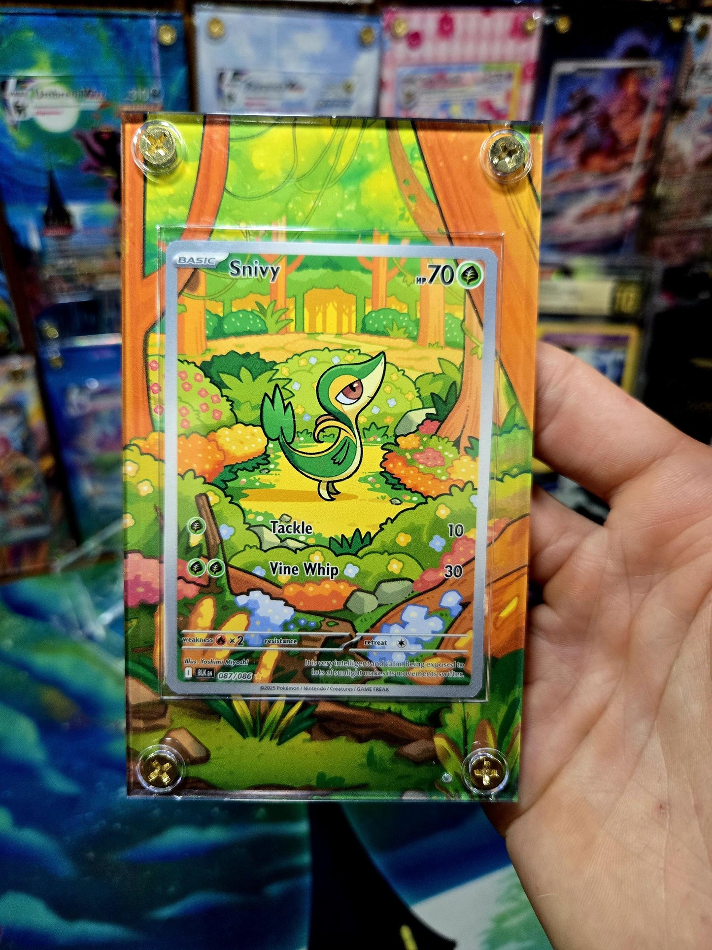Pokemon Snivy IR 087/086 Black Bolt Extended Art Case