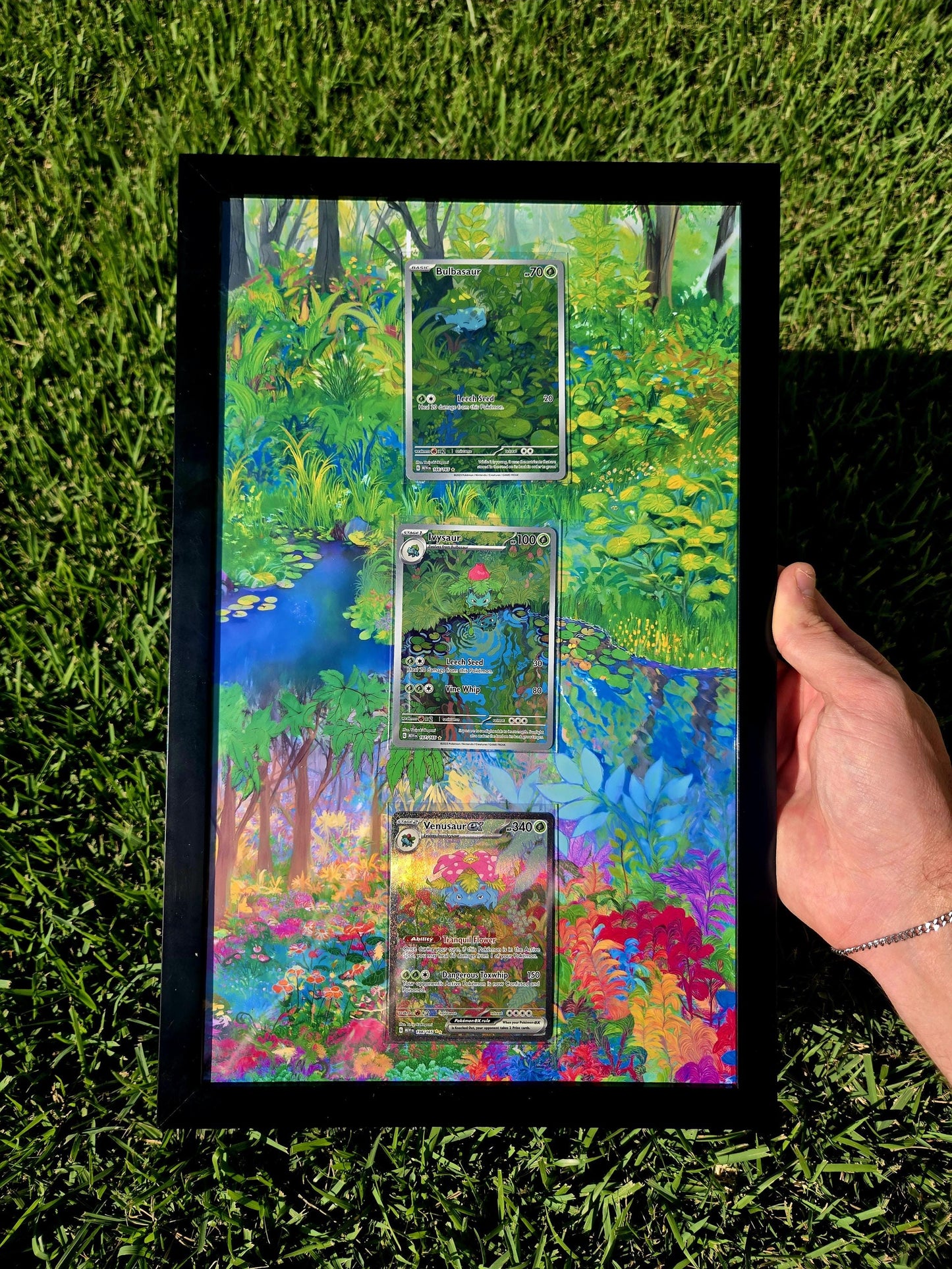 Pokemon 151 Bulbasaur, Ivysaur, Venusaur EX 8.5 x 14" Display Frame Extended Artwork Frame