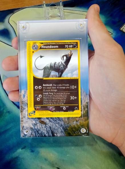 Pokemon Houndoom 12/144 Skyridge Extended Artwork Case