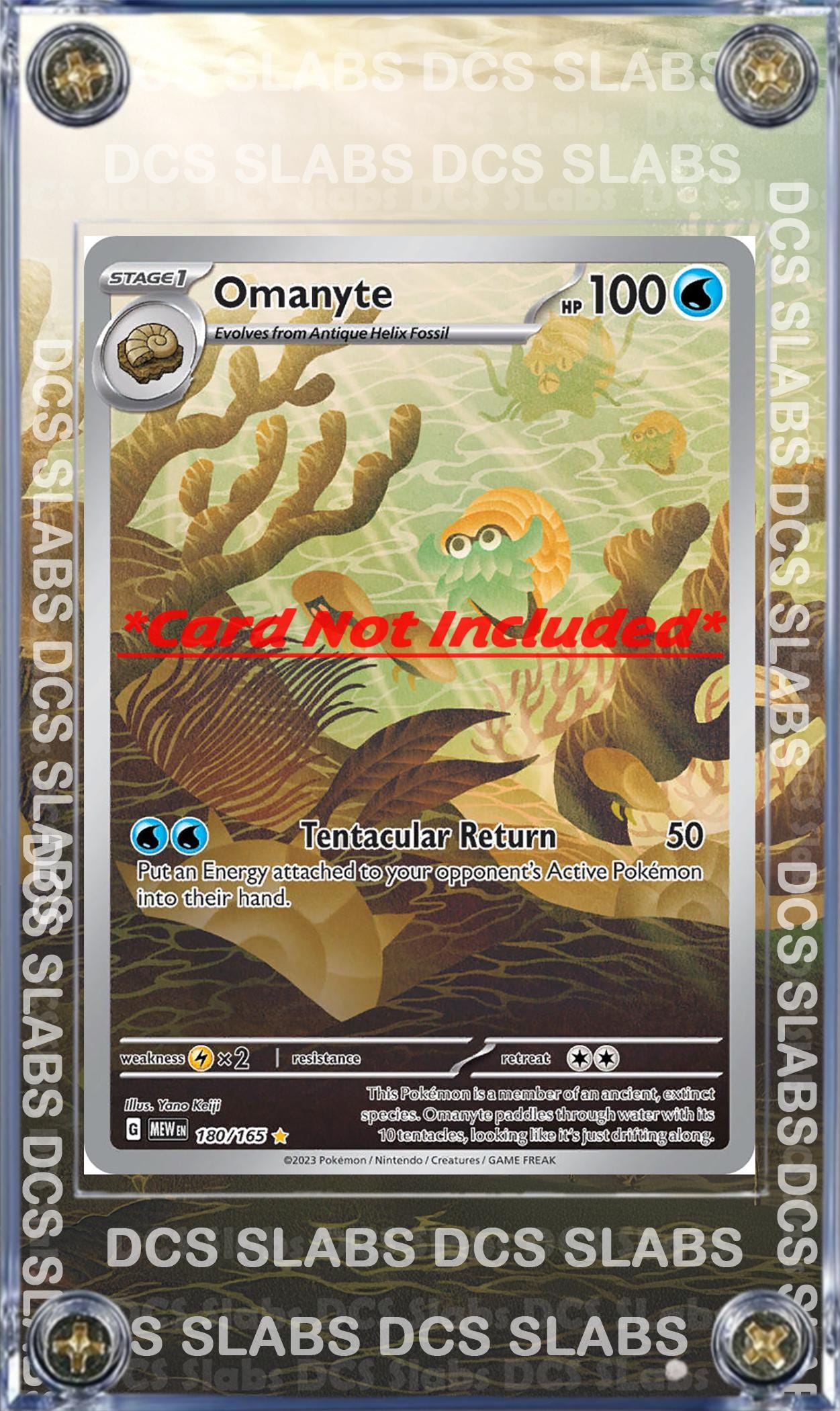 x5 Pokemon 151 IR Custom Display Cases - Pikachu Machoke Mr Mime Omanyte Tangela