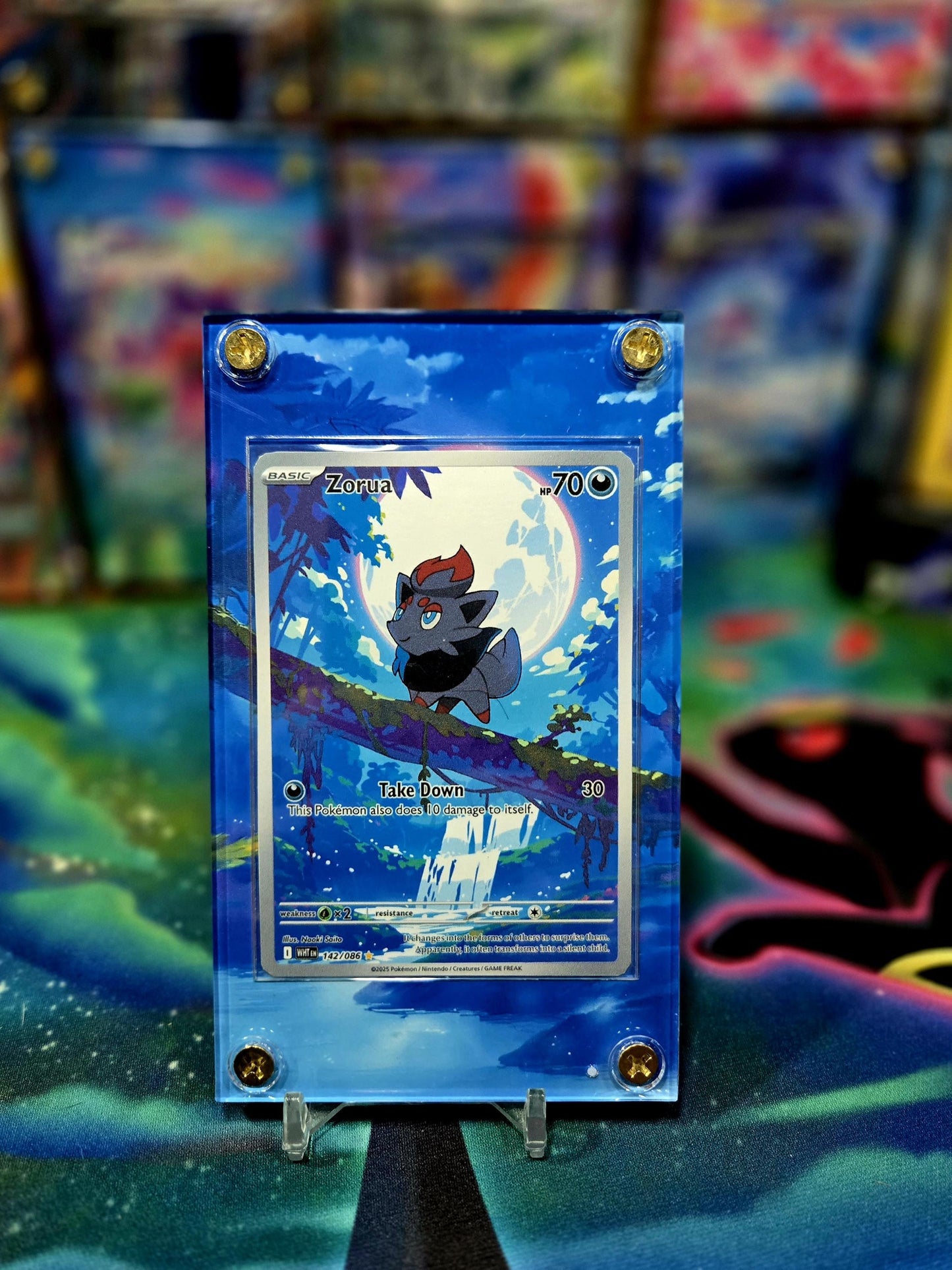 Pokemon Zorua 142/086 White Flare Extended Art Case