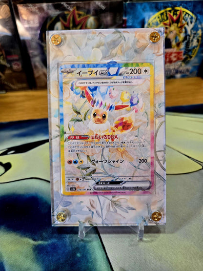 Pokemon Card Eevee ex SAR 223/187 sv8a Terastal Festival Pristmatic Evolutions Custom Case