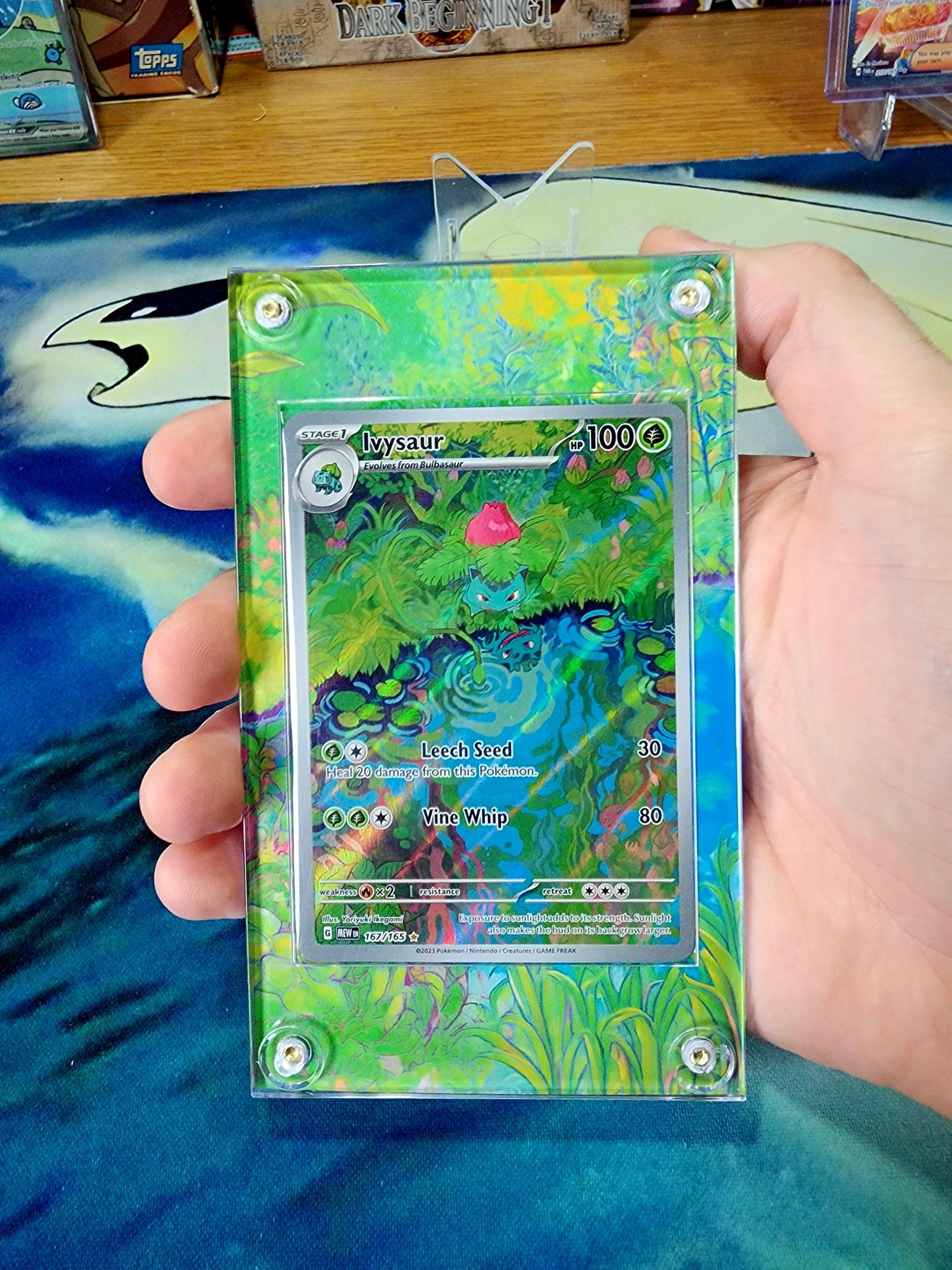 Pokemon Bulbasaur, Ivysaur, Venusaur 151 Custom Display Cases Extended Artwork