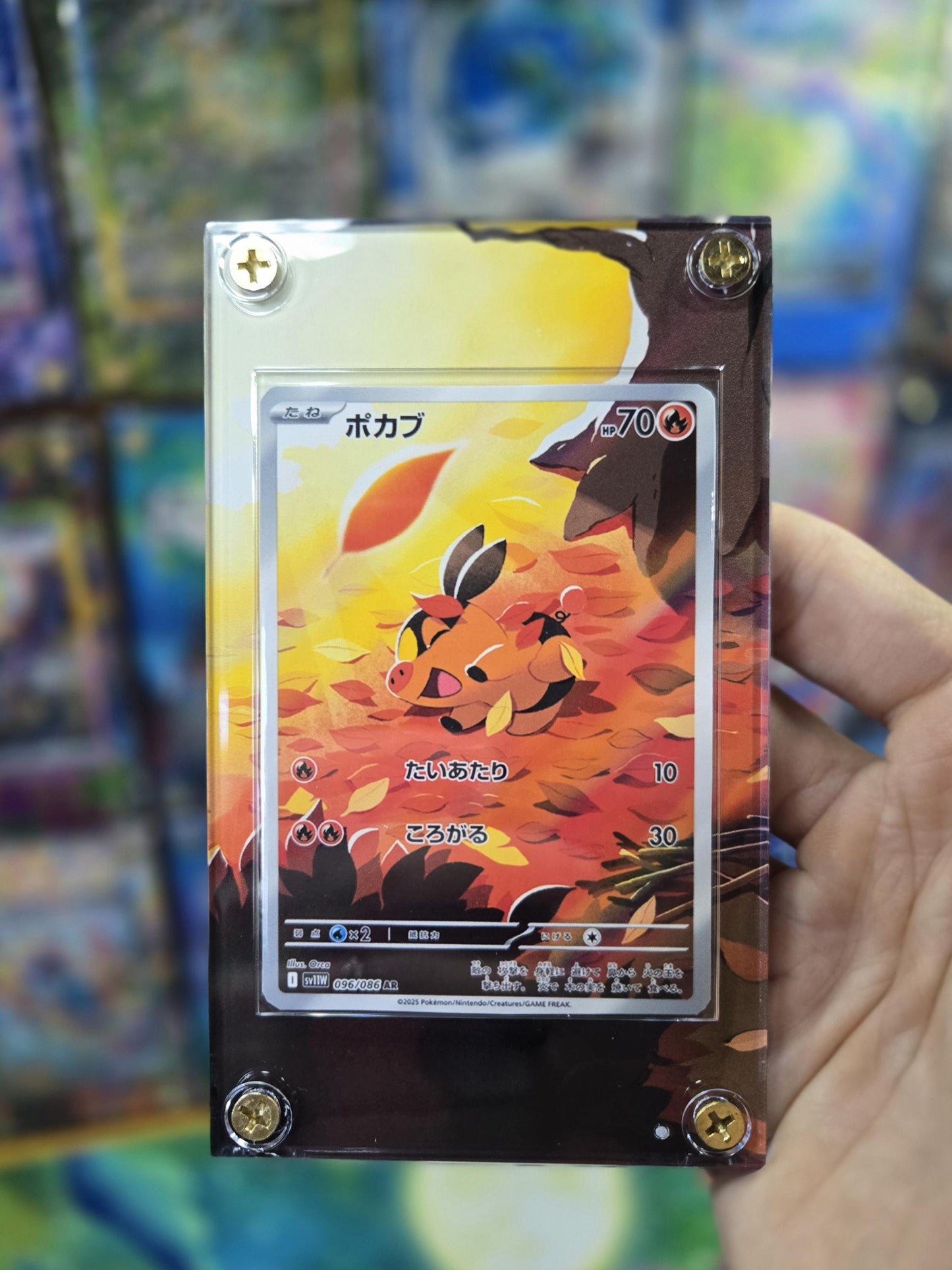 Pokemon Tepig AR 096/086 White Flare Extended Art Case