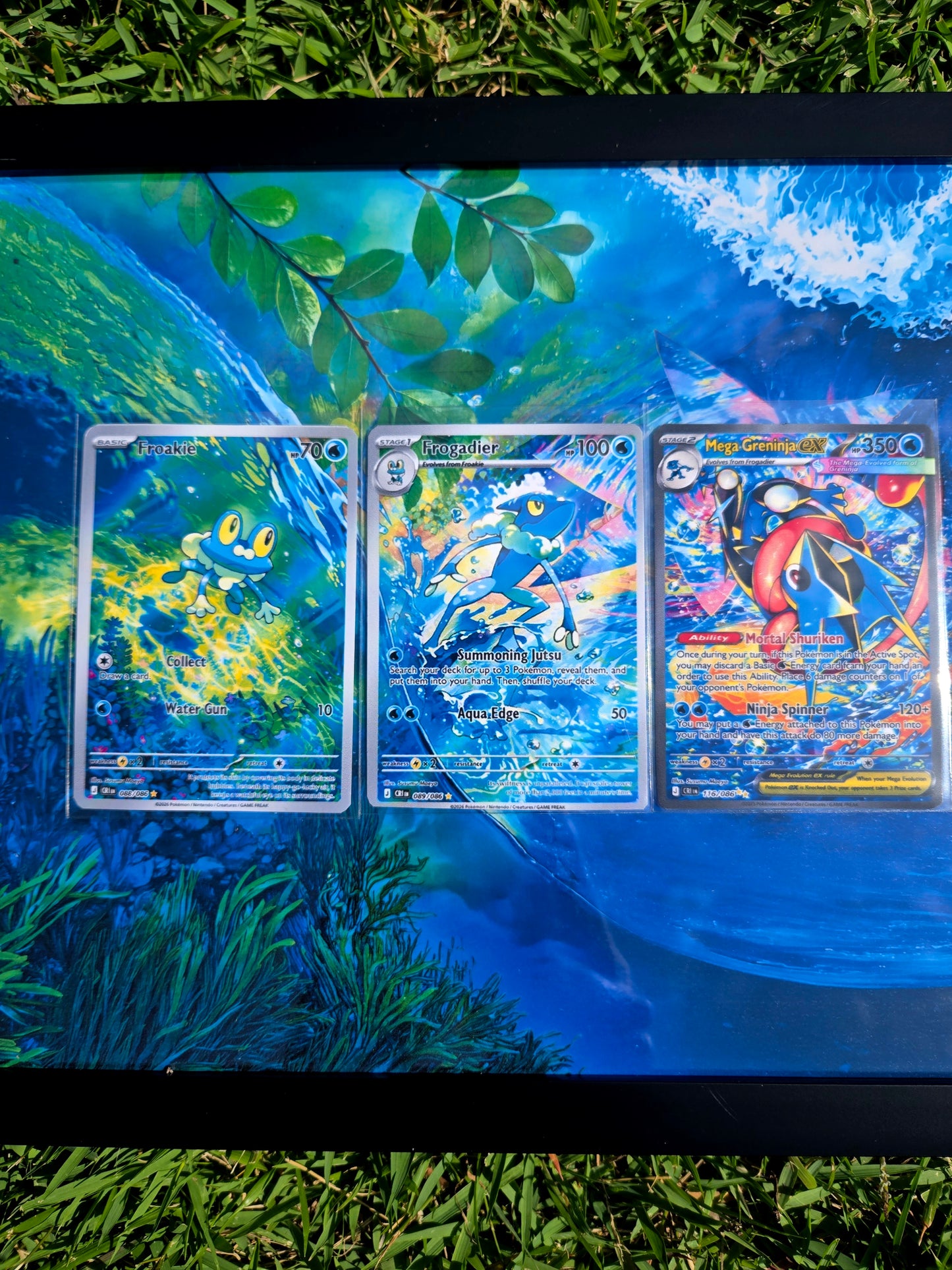 Froakie Frogadier Mega Greninja EX Chaos Rising 8.5 x 11" Display Frame Extended Art
