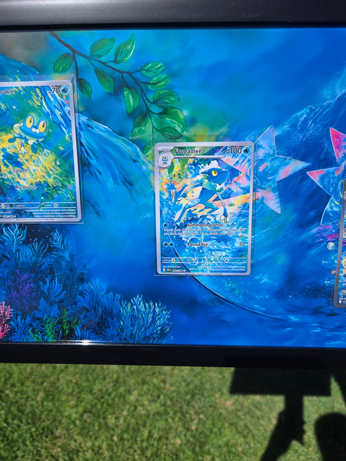 Froakie Frogadier Mega Greninja EX Chaos Rising 8.5 x 14" Display Frame Extended Art
